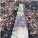 Photo of headstone that was buried under the sod - Beckley Cemetery