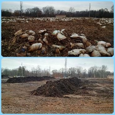 Spilled bags of leaves at a compost site, then windrows of the leaves composting