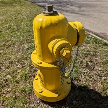 Bright yellow fire hydrant with grass around it