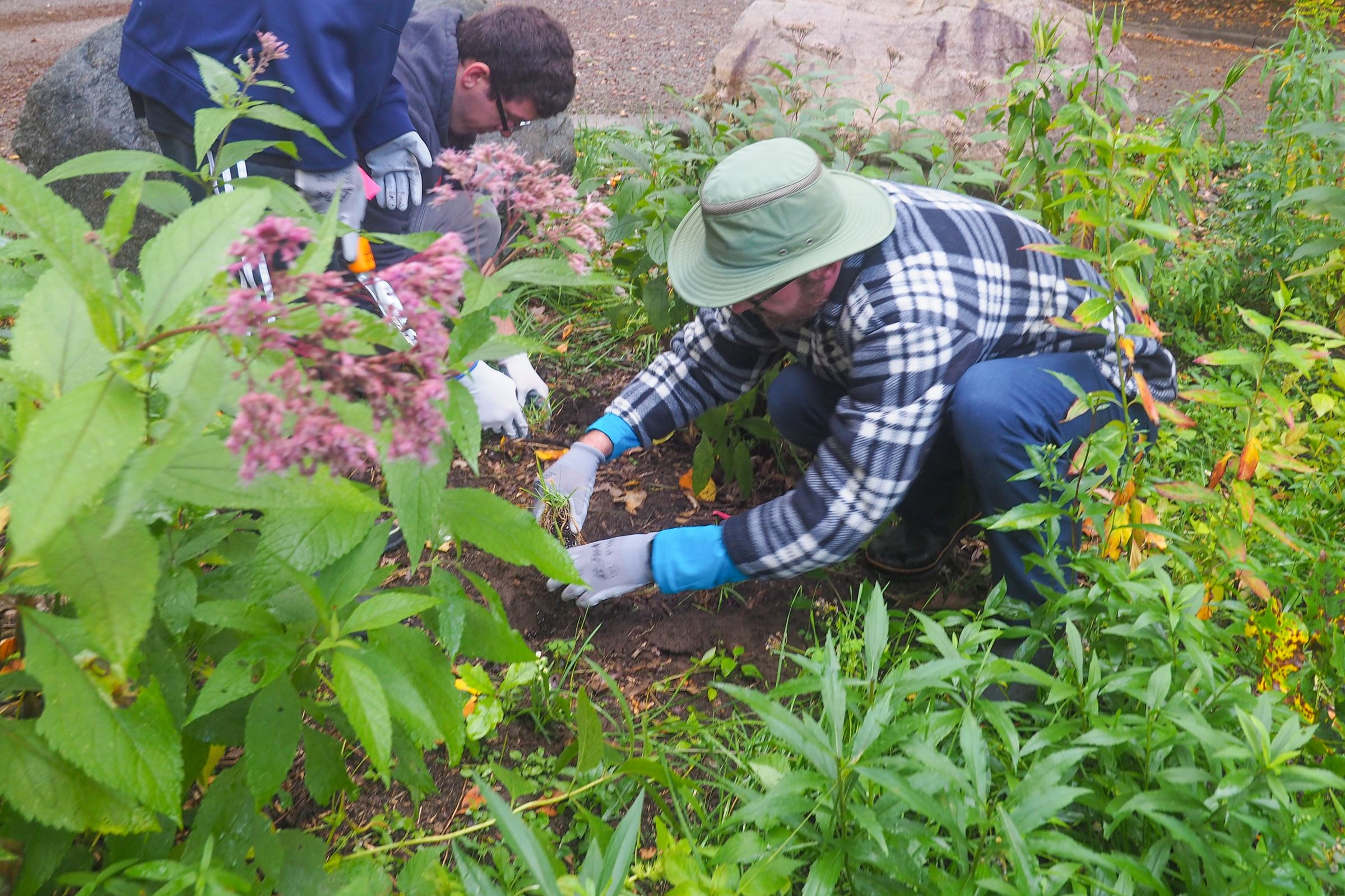 Krazy for the Kazoo-121