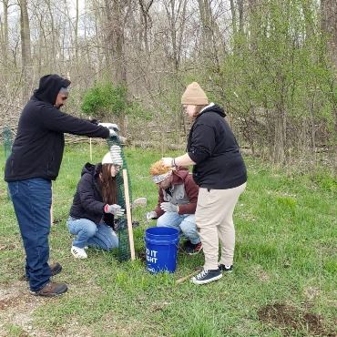 Four people place a protector around a newly planted tree.