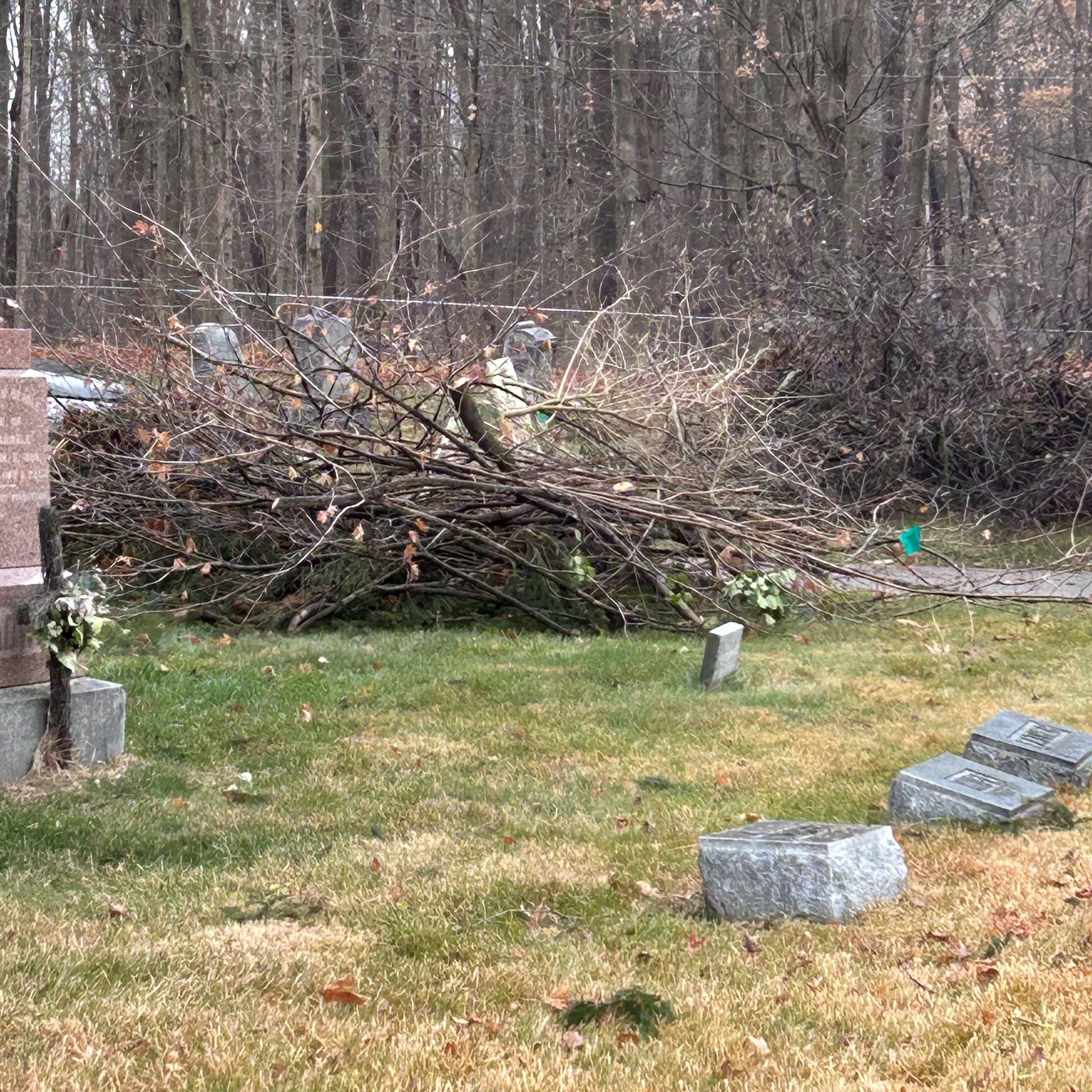 Photo of brush piles at Beckley Cemetery