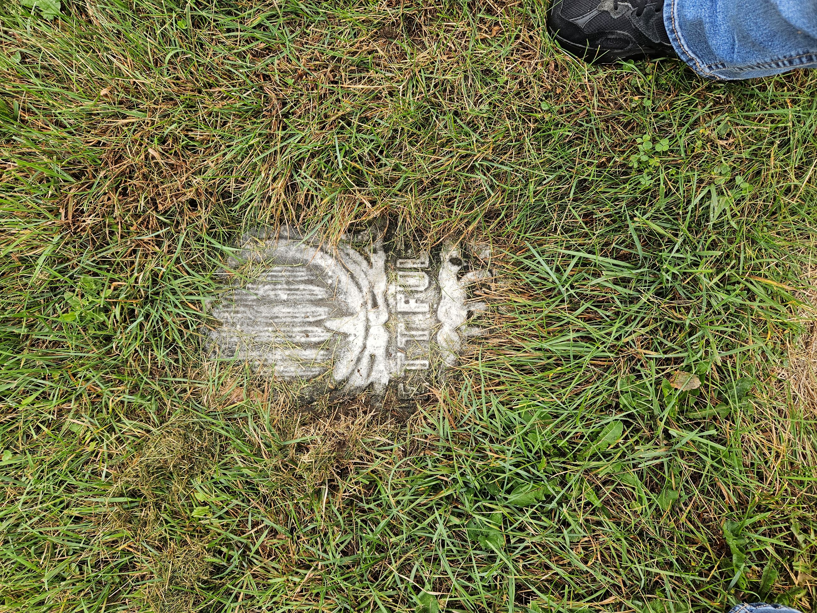 Photo of 3rd headstone buried under sod - Youngs Cemetery