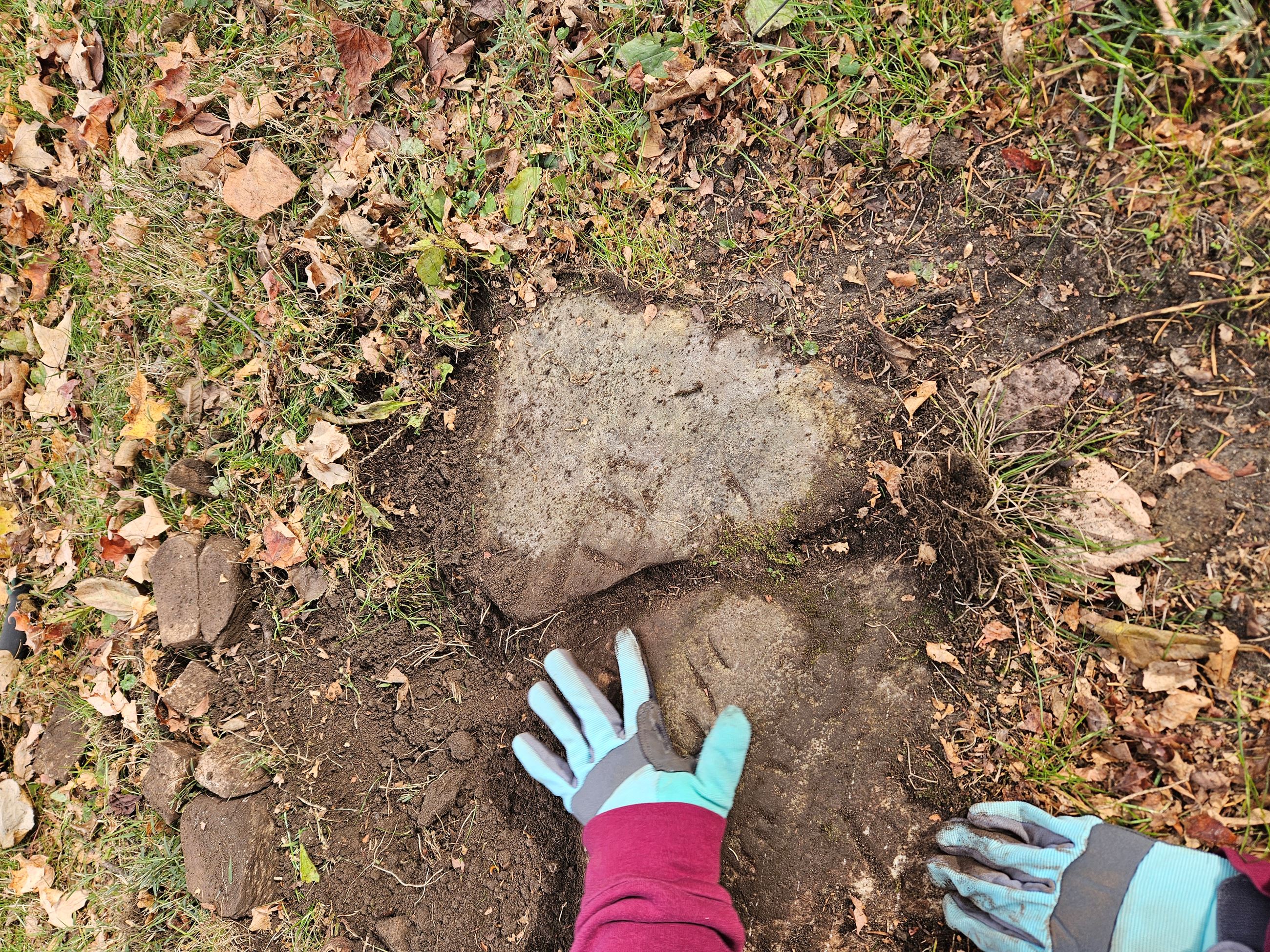 Photo of headstone located under the sod - Beckley Cemetery