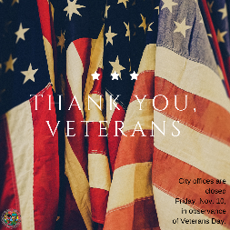 Veterans Day graphic
