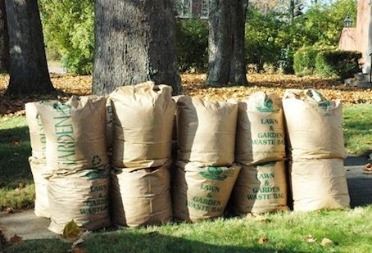 yard waste bags