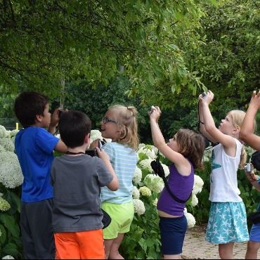 Children holding up cameras to photograph plants and flowers