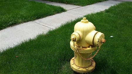 City fire hydrant